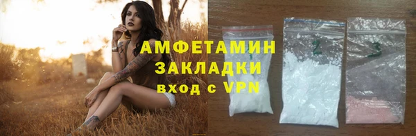молекула духа Арсеньев