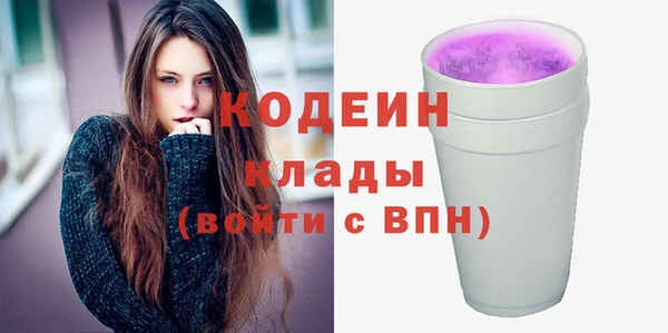 молекула духа Арсеньев