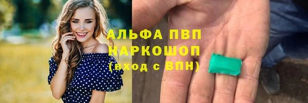 молекула духа Арсеньев