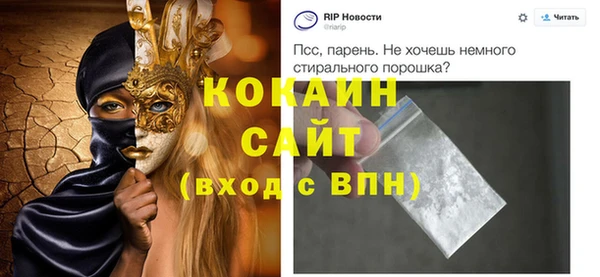 молекула духа Арсеньев