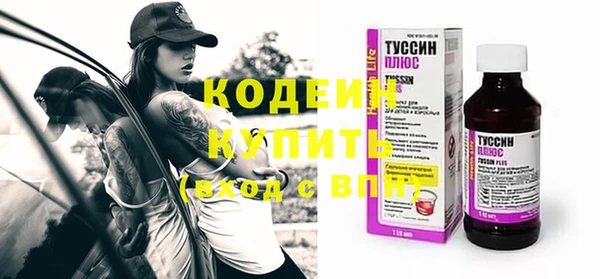 молекула духа Арсеньев