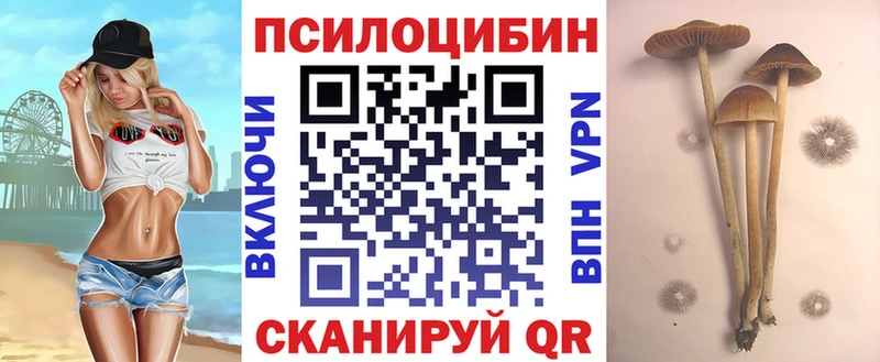 Галлюциногенные грибы Psilocybine cubensis  Купить  Туймазы 